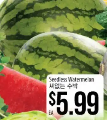 Hmart Seedless Watermelon offer