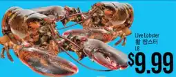 Hmart Live Lobster offer