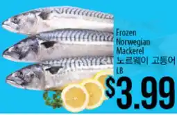 Hmart Frozen Norwegian Mackerel offer