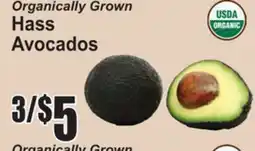 SuperFresh Organically Grown Hass Avocados offer