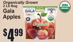 SuperFresh Organically Grown 2 Lb Bag Gala Apples offer