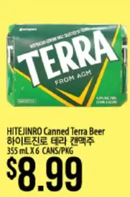 Hmart HITEJINRO Canned Terra Beer offer