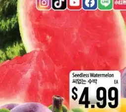Hmart Seedless Watermelon offer