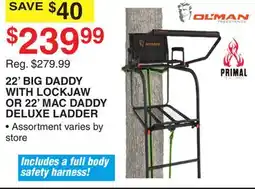 Dunham's Sports 22' BIG DADDY WITH LOCKJAW OR 22' MAC DADDY DELUXE LADDER offer