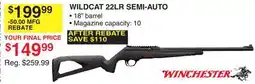 Dunham's Sports WILDCAT 22LR SEMI-AUTO offer