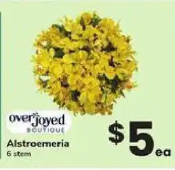 Safeway Overjoyed Boutique Alstroemeria offer