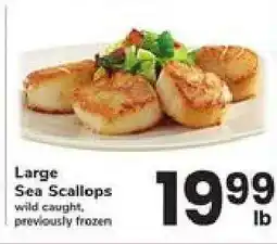 Safeway Large Sea Scallops offer