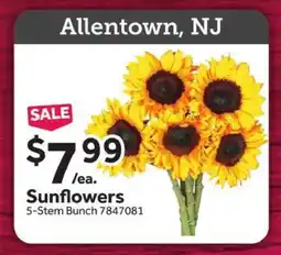 Stop&Shop Sunflowers offer