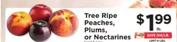 ShopRite Tree Ripe Peaches, Plums or Nectarines offer