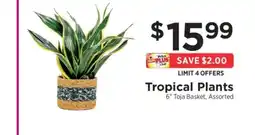 ShopRite Tropical Plants offer