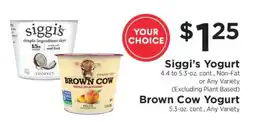 ShopRite Siggi’s Yogurt or Brown Cow Yogurt offer