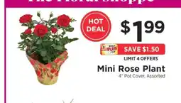ShopRite Mini Rose Plant offer