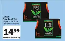 Albertsons Lipton Pure Leaf Tea offer