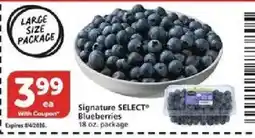 Vons Signature Select Blueberries offer