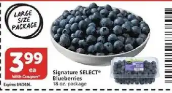Signature Select Blueberries
