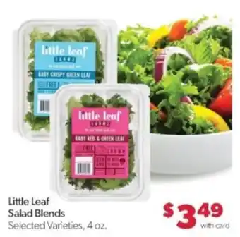 Family Fare Little Leaf Salad Blends offer