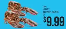 Hmart Live Lobster offer