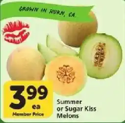 Vons Summer or Sugar Kiss Melons offer