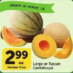 Vons Large or Tuscan Cantaloupe offer