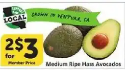Vons Medium Ripe Hass Avocados offer