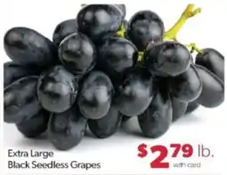 Family Fare Extra Large Black Seedless Grapes offer