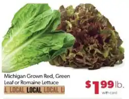 Family Fare Michigan Grown Red, Green Leaf or Romaine Lettuce offer