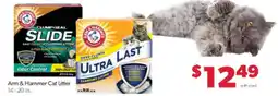 Family Fare Arm & Hammer Cat Litter offer