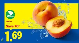 Lidl Sc grown peaches offer