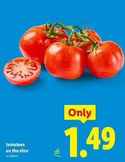 Lidl tomatoes on the vine offer