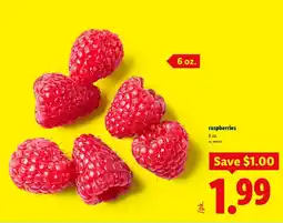 Lidl raspberries offer