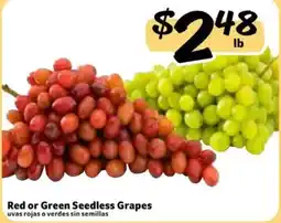 Fresco y Más Red or Green Seedless Grapes offer