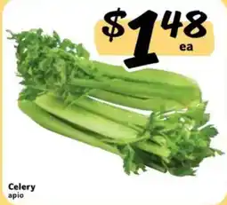 Fresco y Más Celery apio offer