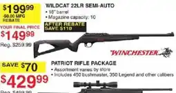 Dunham's Sports Winchester wildcat 22lr semi-auto offer