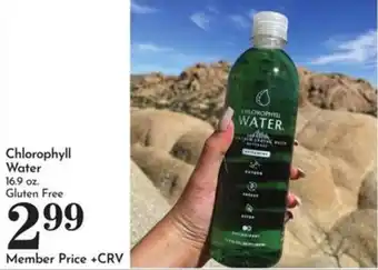 Chlorophyll Water