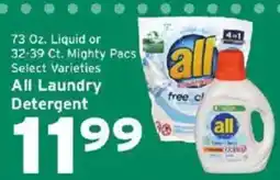 Hannaford All laundry detergent offer