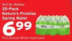 Hannaford Nature's Promise Spring Water offer