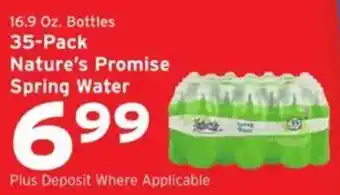 Hannaford Nature's Promise Spring Water offer