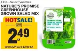 Food Lion Nature's Promise greenhouse grown salad mix offer