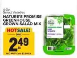 Food Lion Nature's Promise greenhouse grown salad mix offer