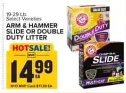Food Lion Arm & Hammer slide or double duty litter offer