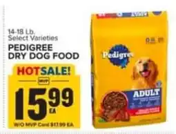 Food Lion Pedigree dry dog food offer