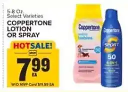 Food Lion Coppertone Lotion or Spray offer
