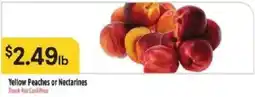 Bashas' Yellow Peaches or Nectarines offer