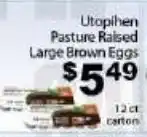 Fine Fare Utophen pasture raised large brown eggs offer