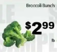 Fine Fare Broccoli Bunch offer