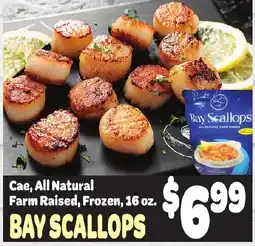 Gristedes Cae Bay Scallops offer