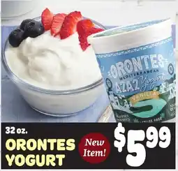 Gristedes Orontes Yogurt offer