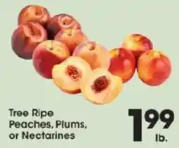 Price Rite Tree Ripe Peaches, Plums, or Nectarines offer