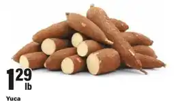 Big Y Yuca offer