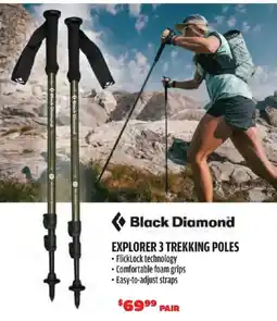 Big 5 Black Diamond explorer 3 trekking poles offer